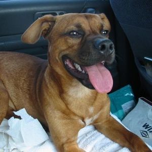 Meet your Posher, Michele